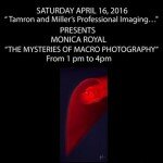 Seminar”THE MYSTERIES OF MACRO PHOTOGRAPHY”